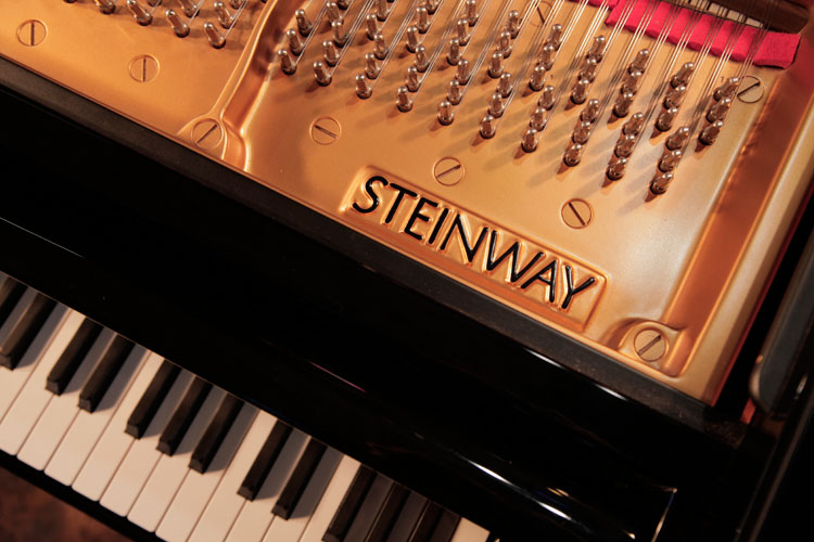  Why 8 out of 10 Concert Pianists Choose a Steinway Piano: The Steinway Showroom