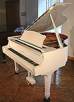 Steinhoven Baby Grand Piano For Sale