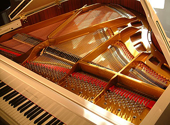 Halle & Voight Grand Piano