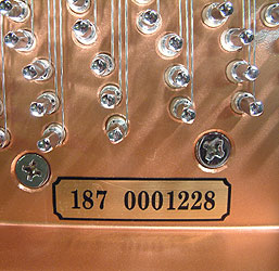 Brodmann BG-187 Grand Piano