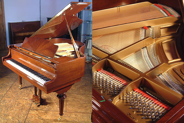 A new Essex EGP 155 baby grand piano with a walnut case and polyester finish. Designed by Steinway & Sons
