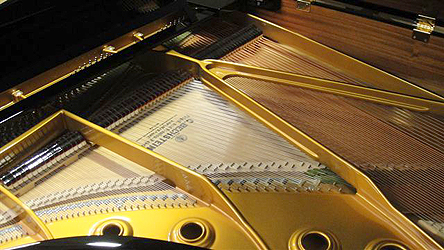 Bechstein Model MJP  Grand Piano for sale.