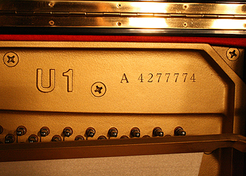 Yamaha U1 Upright Piano for sale.