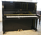 A Yamaha U3 upright piano with a black case and polyester finish. 