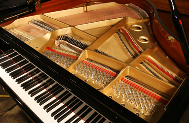 Steinhoven  Model 148 instrument