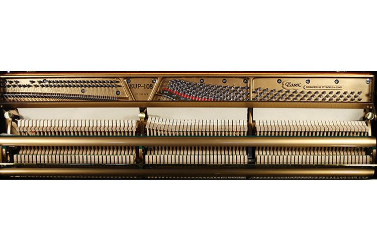Essex instrument