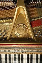 Laniem GP168 manufacturers logo Laniem GP168 Grand Piano