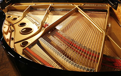 Fazioli F156 Grand Piano for sale.