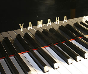 Yamaha C3 Grand Piano for sale. We are looking for Steinway pianos any age or condition.