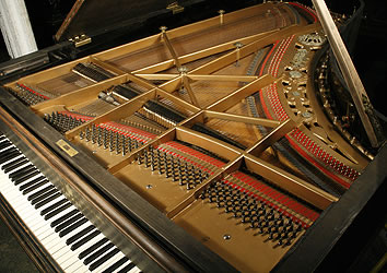 Ibach Grand Piano for sale. We are looking for Steinway pianos any age or condition.