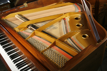 Samick instrument