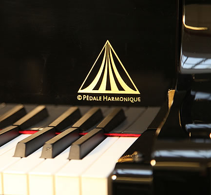 Wendl and Lung Model 161  Grand Piano for sale.