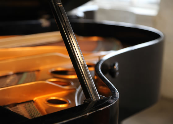 Bosendorfer  grand piano for sale. We are looking for Steinway pianos any age or condition.