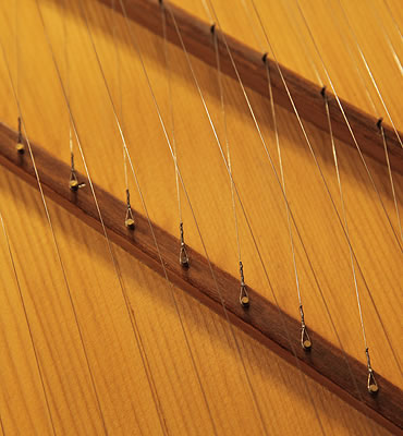 Sperrhake Passau instrument