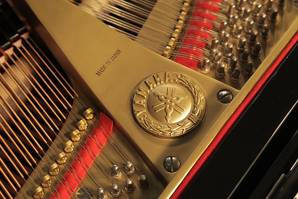 Yamaha C3 manufacturers logo on frame Yamaha C3 Grand Piano for sale.