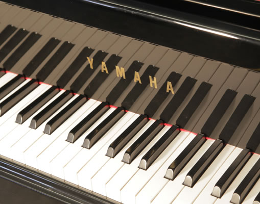 Yamaha C3 grand piano manufacturers logo on fall Yamaha C3 Grand Piano for sale.