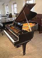 An unrestored, 1906, Steinway Model O grand piano with a black case and spade legs.