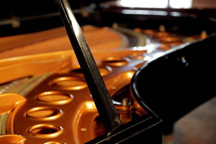 Bosendorfer Imperial grand piano lidstay
