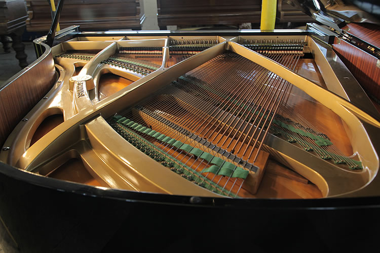 Schimmel  Grand Piano for sale.