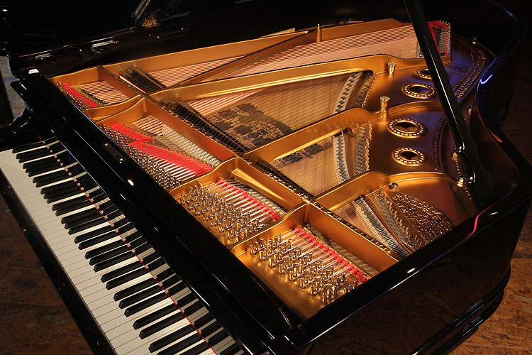 Steinway rebuilt  instrument