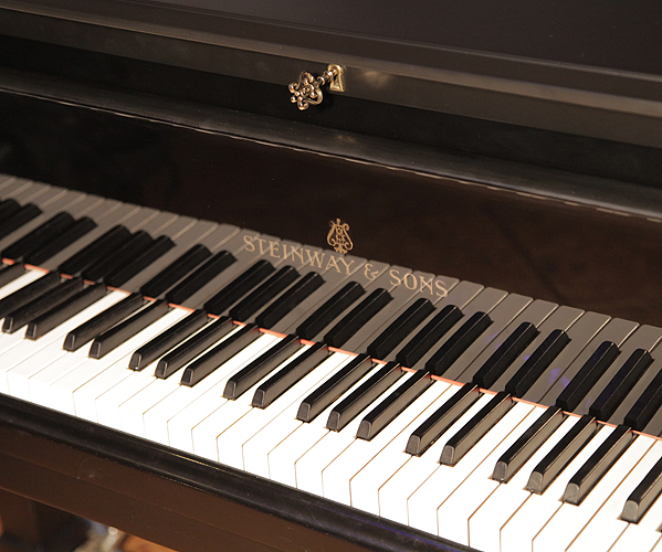 Steinway Model D  Concert Grand Piano for sale. We are looking for Steinway pianos any age or condition.