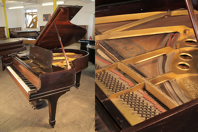 An unrestored, 1901, Steinway Model O grand piano with a rosewood case and spade legs. 