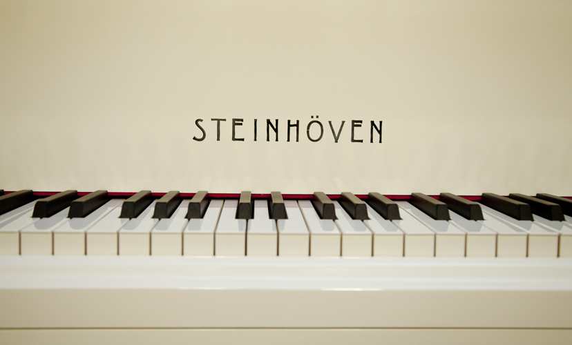 Steinhoven  Model 148 manufacturers logo
