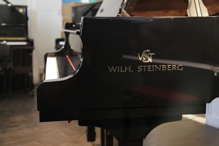 Wilh Steinberg piano cheek detail