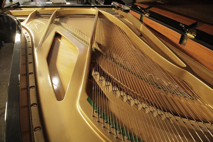 Danemann  Grand Piano for sale. We are looking for Steinway pianos any age or condition.