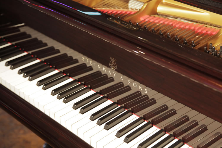 Steinway Model D  manufacturers name on fall