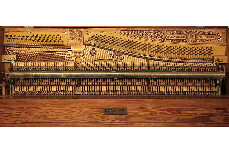 Mayer instrument