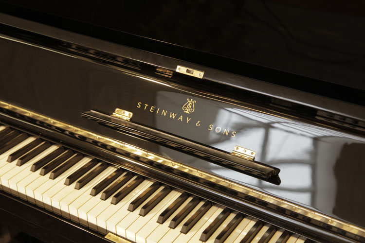 Steinway manufacturers logo on fall.