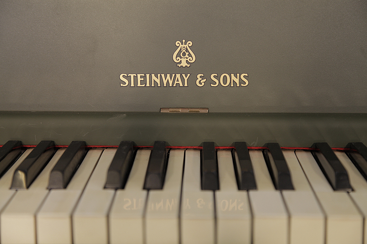 Steinway  manufacturers logo on fall