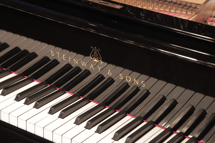Steinway Model B piano manufacturers logo on fall. We are looking for Steinway pianos any age or condition.