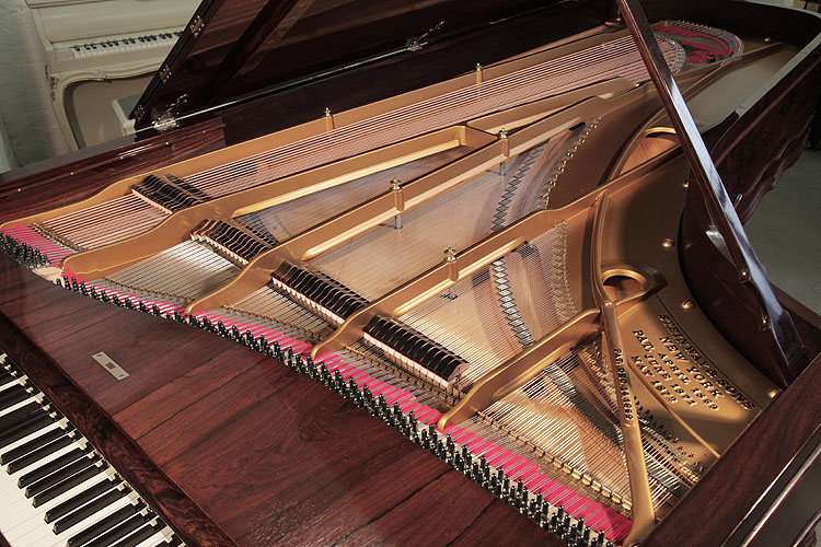 Steinway Centennial rebuilt instrument