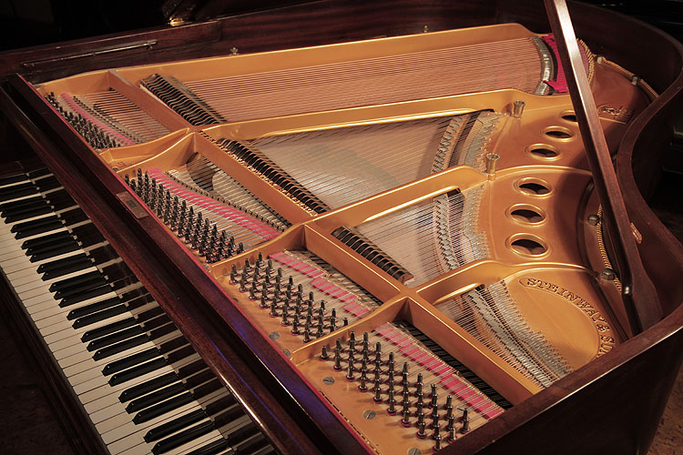 Steinway  Model M   instrument. We are looking for Steinway pianos any age or condition.