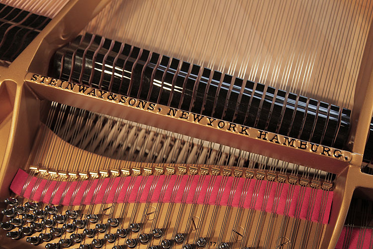 Steinway piano serial number. We are looking for Steinway pianos any age or condition.