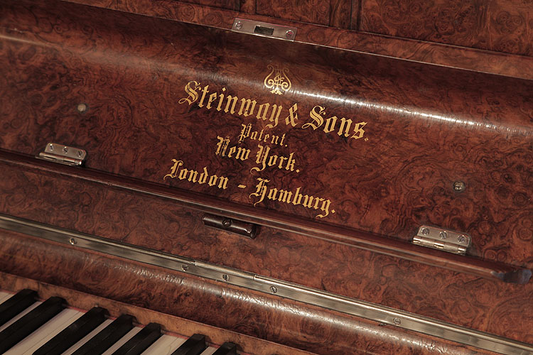 Steinway manufacturers logo on fall