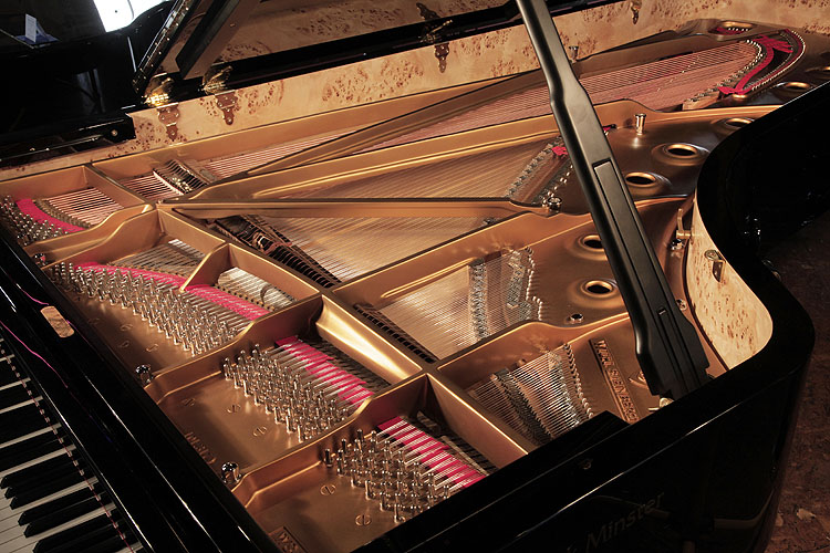 Wilh Steinberg WS-D275  Grand Piano for sale.