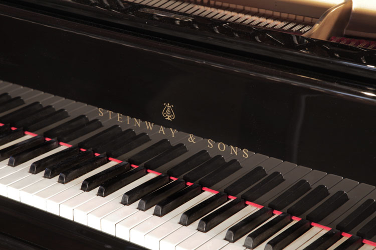   Steinway Model B piano manufacturers logo on fall