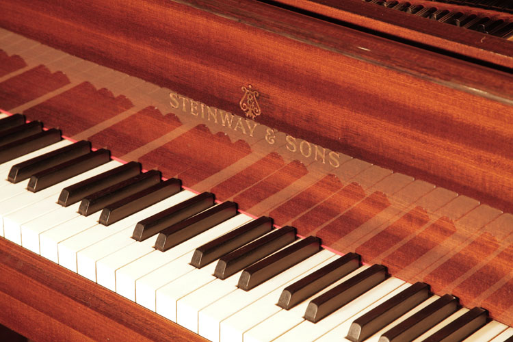 Steinway  manufacturer's name on fall. We are looking for Steinway pianos any age or condition.