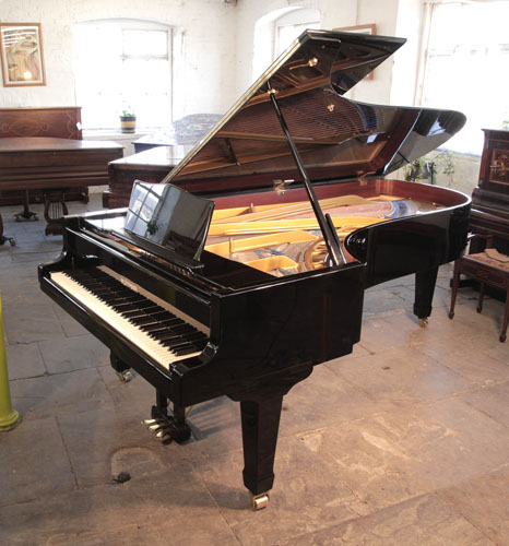 Restored,  Bluthner concert grand piano for sale with a black case and spade legs with dual casters