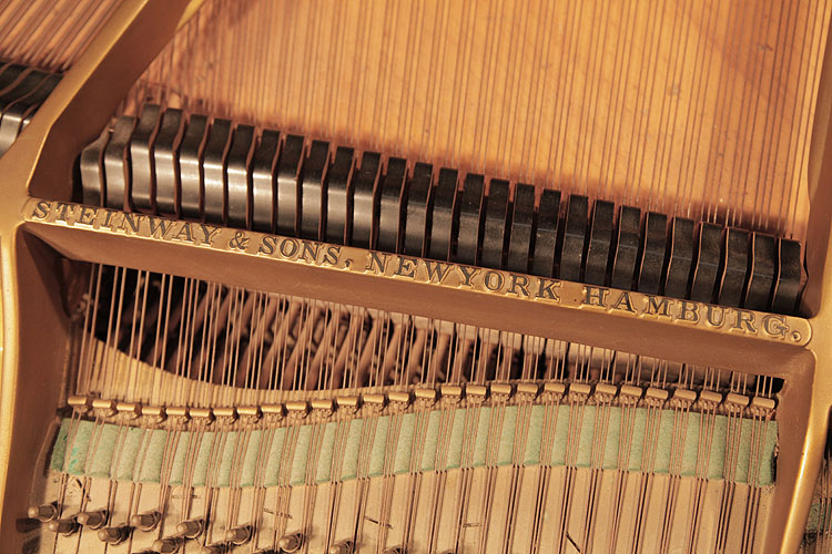 Steinway  Model S New York, Hamburg. We are looking for Steinway pianos any age or condition.