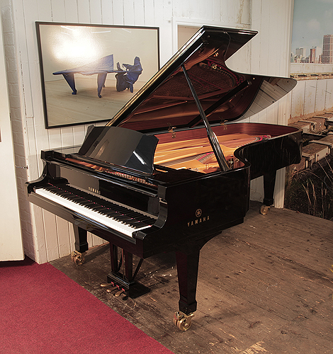 A 2009, Yamaha CFIII concert grand piano for sale with a black case and dual casters. Piano has an eighty-eight note keyboard and a three-pedal lyre