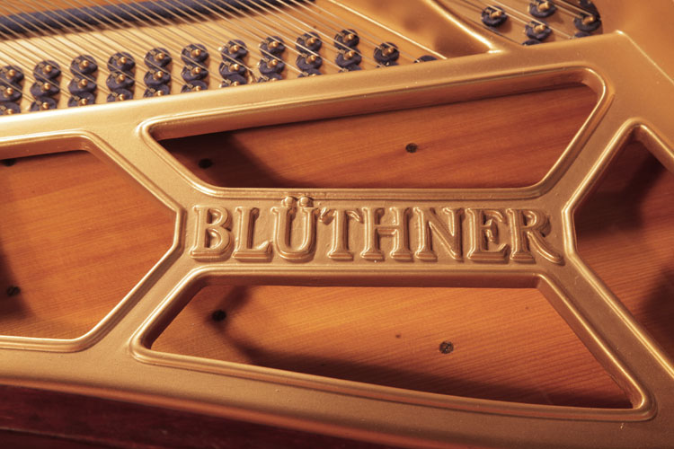 Bluthner manufacturers name on frame
