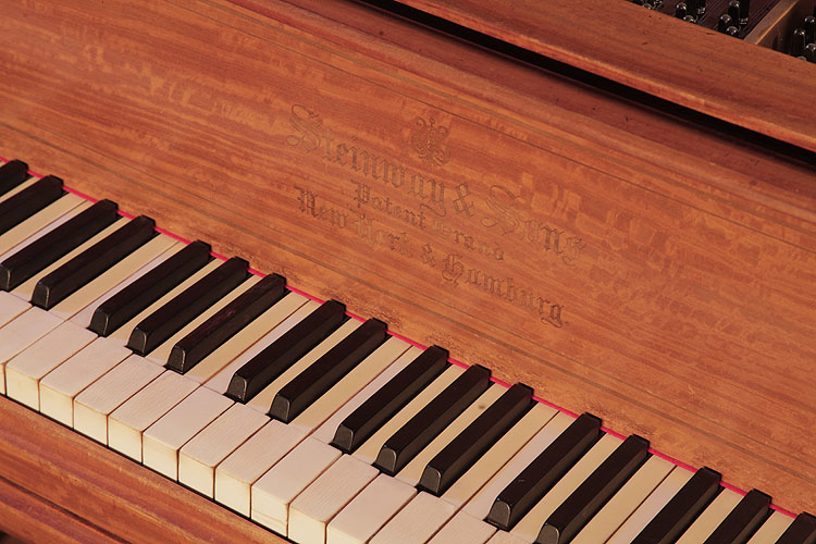   Steinway  Model B   piano manufacturers logo on fall