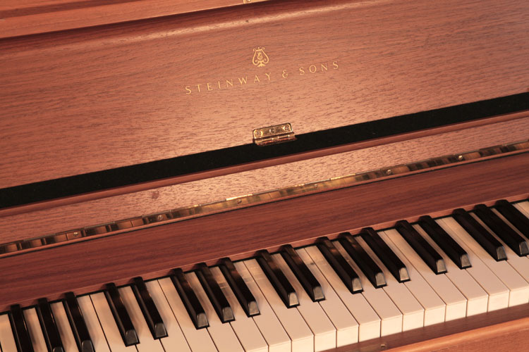 Steinway   manufacturers logo on fall