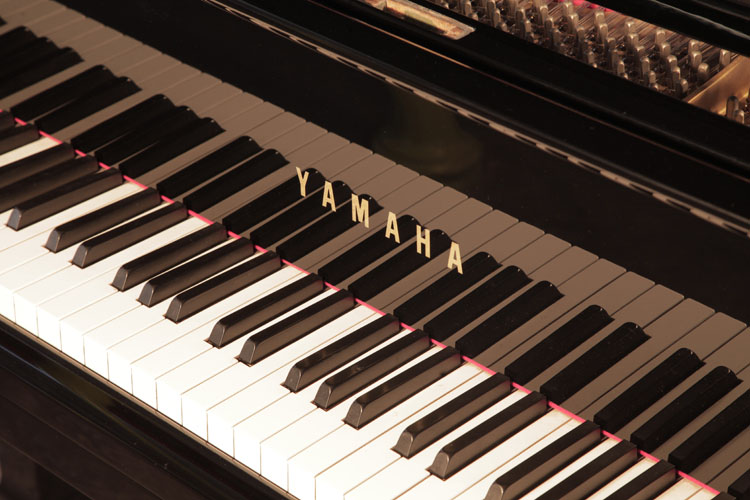 Yamaha G1 piano manufacturers logo on fall.