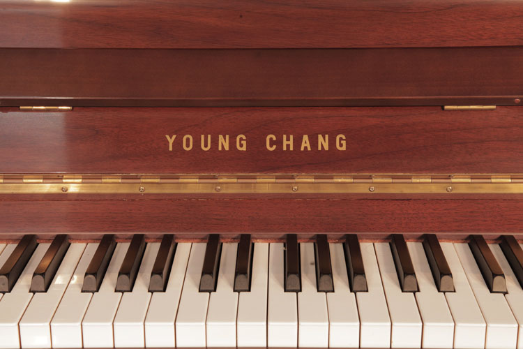  Young Chang manufacturers logo on fall