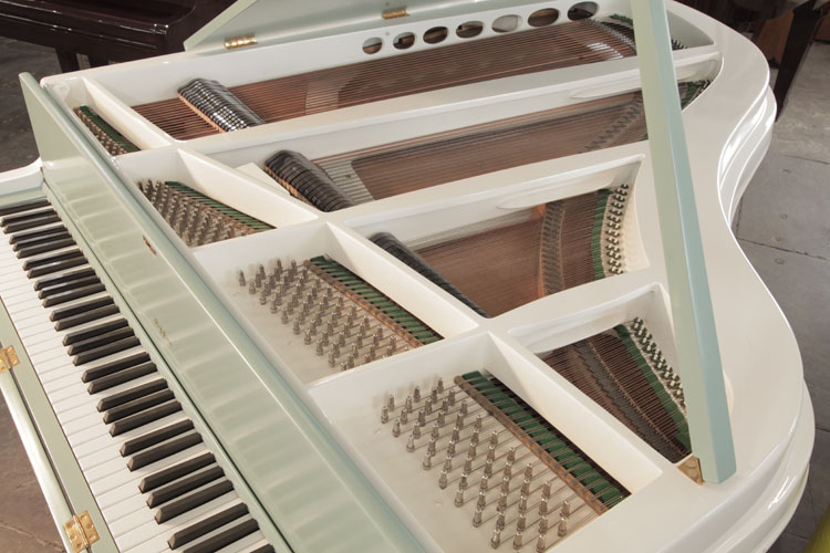 Rippen Instrument